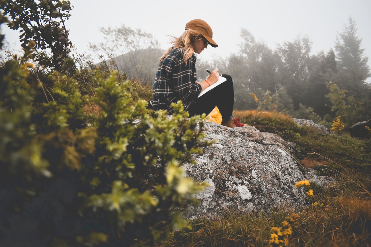 Reflecting on Milestones and Growth