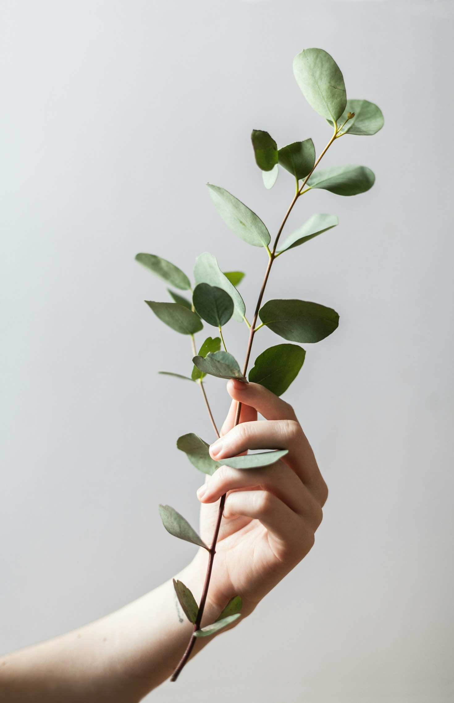 Finding Joy in the Little Things